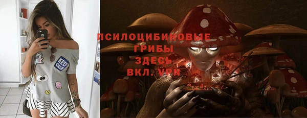 СК Коряжма