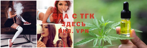 СК Коряжма